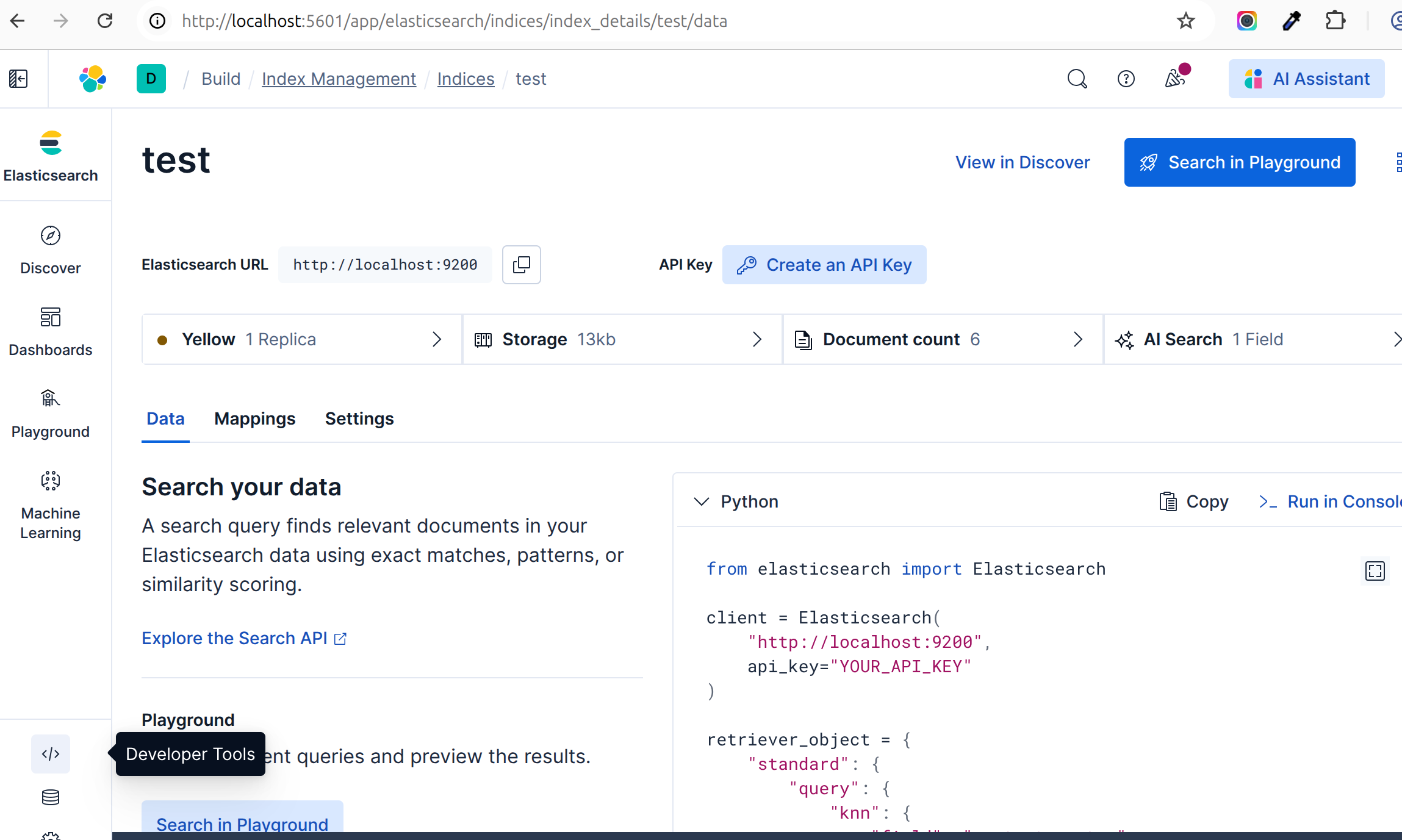 Kibana index details view for the test index